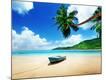 Photographic Print