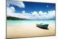 Photographic Print