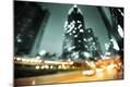Photographic Print