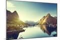 Photographic Print