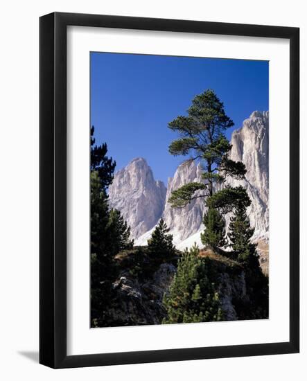 Ialien, Sv¼dtirol, Dolomiten, Langkofelgruppe, AuvŸen, Berglandschaft, Berge-Thonig-Framed Photographic Print