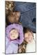 Premium Photographic Print