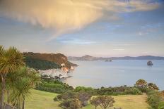 Sky Tower and Viaduct Harbour at Dawn, Auckland, North Island, New Zealand, Pacific-Ian-Premier Image Canvas