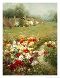 English Beauty-Ian Cook-Framed Giclee Print