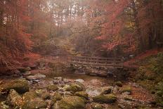 Misty Autumn Valley Near Ambleside, Lake District National Park, Cumbria, England, United Kingdom-Ian Egner-Photographic Print