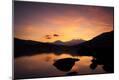 Photographic Print