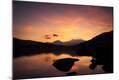 Photographic Print