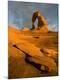 Photographic Print