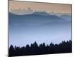 Premium Photographic Print