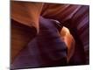 Premium Photographic Print