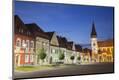 Photographic Print