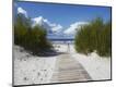 Photographic Print