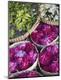Premium Photographic Print