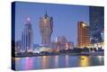 Stretched Canvas Print