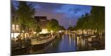 Photographic Print