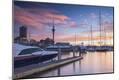 Photographic Print