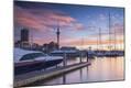 Photographic Print