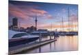 Photographic Print