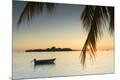 Photographic Print