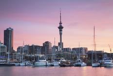 Viaduct Harbour and Sky Tower at Sunset, Auckland, North Island, New Zealand, Pacific-Ian-Photographic Print