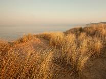 Dunes with Seagulls 7-Ian Winstanley-Photographic Print