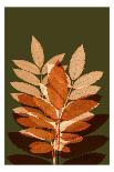 Fall Leaves 4-Ian Winstanley-Art Print