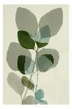 Green Leaves 10-Ian Winstanley-Art Print