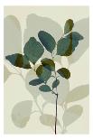 Green Leaves 8-Ian Winstanley-Art Print