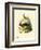 Iberian Hare-null-Framed Giclee Print