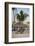 Iberostar Grand, Bavaro Beach, Higuey, Punta Cana, Dominican Republic-Lisa S^ Engelbrecht-Framed Photographic Print