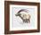 Ibex, Noasca-Mark Adlington-Framed Giclee Print