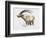 Ibex, Noasca-Mark Adlington-Framed Giclee Print