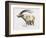 Ibex, Noasca-Mark Adlington-Framed Giclee Print