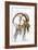 Ibex-Barbara Keith-Framed Giclee Print