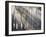 Ibirapuera park's trees in the mist, with light rays-Alex Saberi-Framed Photographic Print