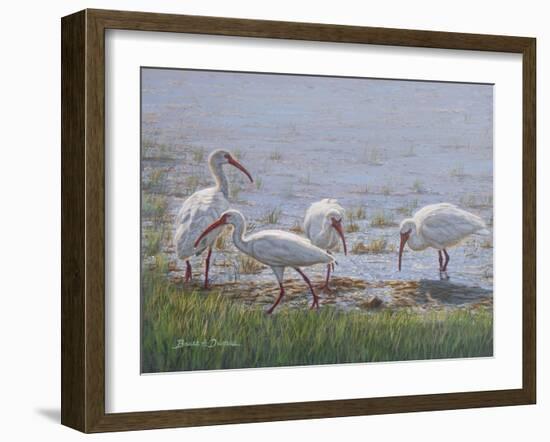 Ibis Excursion-Bruce Dumas-Framed Giclee Print