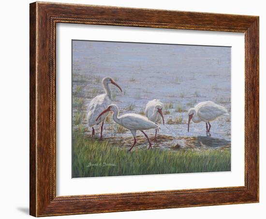 Ibis Excursion-Bruce Dumas-Framed Giclee Print