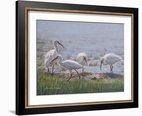 Ibis Excursion-Bruce Dumas-Framed Giclee Print