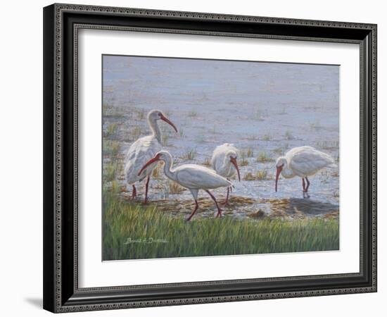 Ibis Excursion-Bruce Dumas-Framed Giclee Print