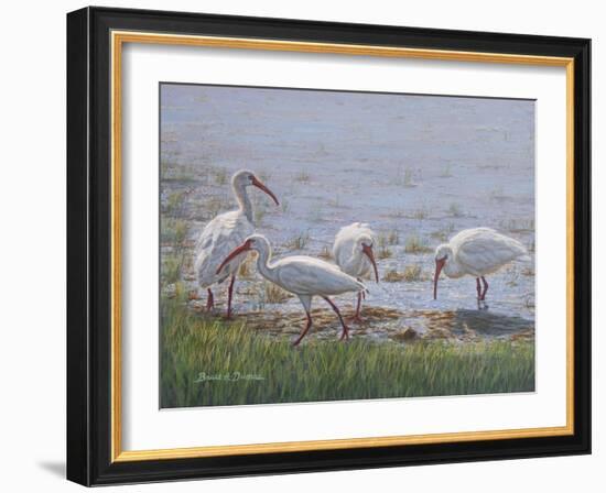 Ibis Excursion-Bruce Dumas-Framed Giclee Print