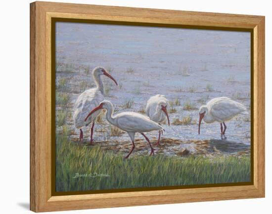 Ibis Excursion-Bruce Dumas-Framed Premier Image Canvas