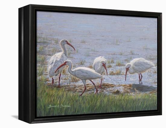 Ibis Excursion-Bruce Dumas-Framed Premier Image Canvas
