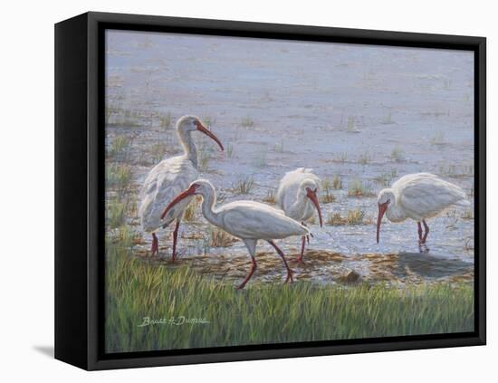 Ibis Excursion-Bruce Dumas-Framed Premier Image Canvas