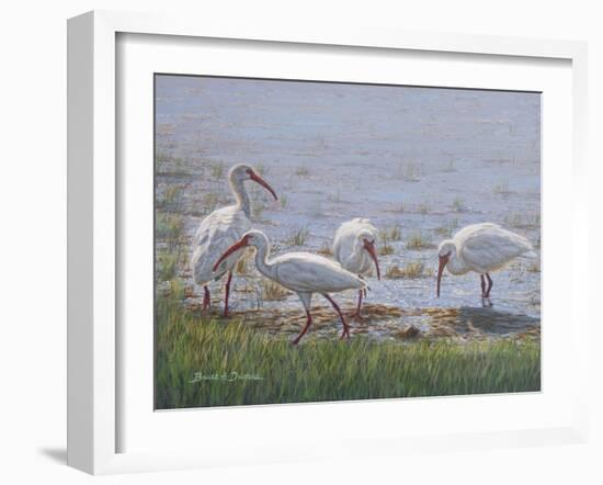 Ibis Excursion-Bruce Dumas-Framed Premium Giclee Print