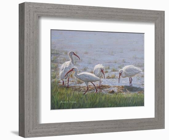 Ibis Excursion-Bruce Dumas-Framed Giclee Print