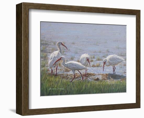 Ibis Excursion-Bruce Dumas-Framed Giclee Print