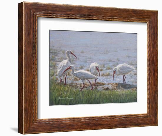 Ibis Excursion-Bruce Dumas-Framed Giclee Print