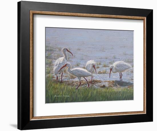 Ibis Excursion-Bruce Dumas-Framed Giclee Print