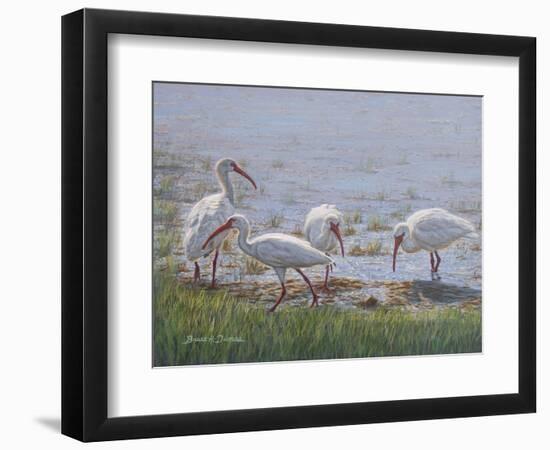 Ibis Excursion-Bruce Dumas-Framed Giclee Print