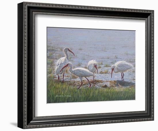 Ibis Excursion-Bruce Dumas-Framed Giclee Print